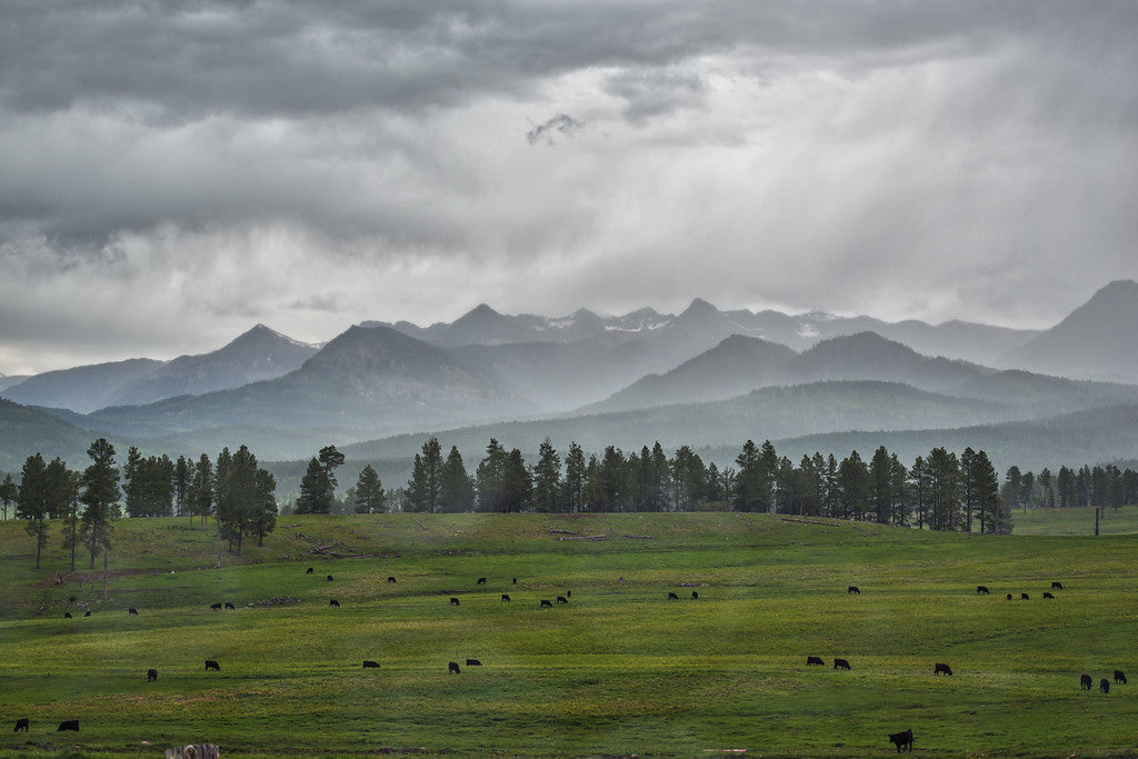 VOORMI® COMPLETELY REDEFINES WOOL:  AND RECOGNIZED FOR DOING IT BY TOPLINE MAGAZINE