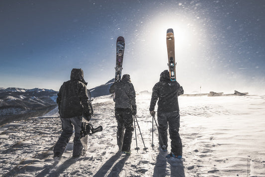2013 Endless Winter