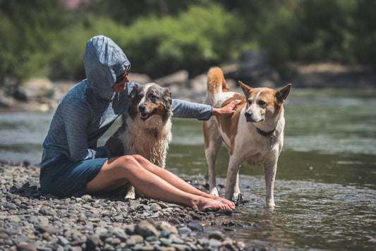 Solarium Emerges As The Lightest in Class with Gear Junkie