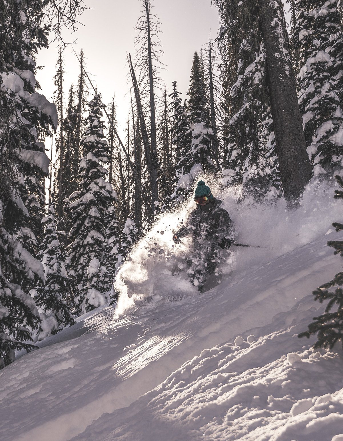 OUTERWEAR - WOMEN'S AN/FO JACKET