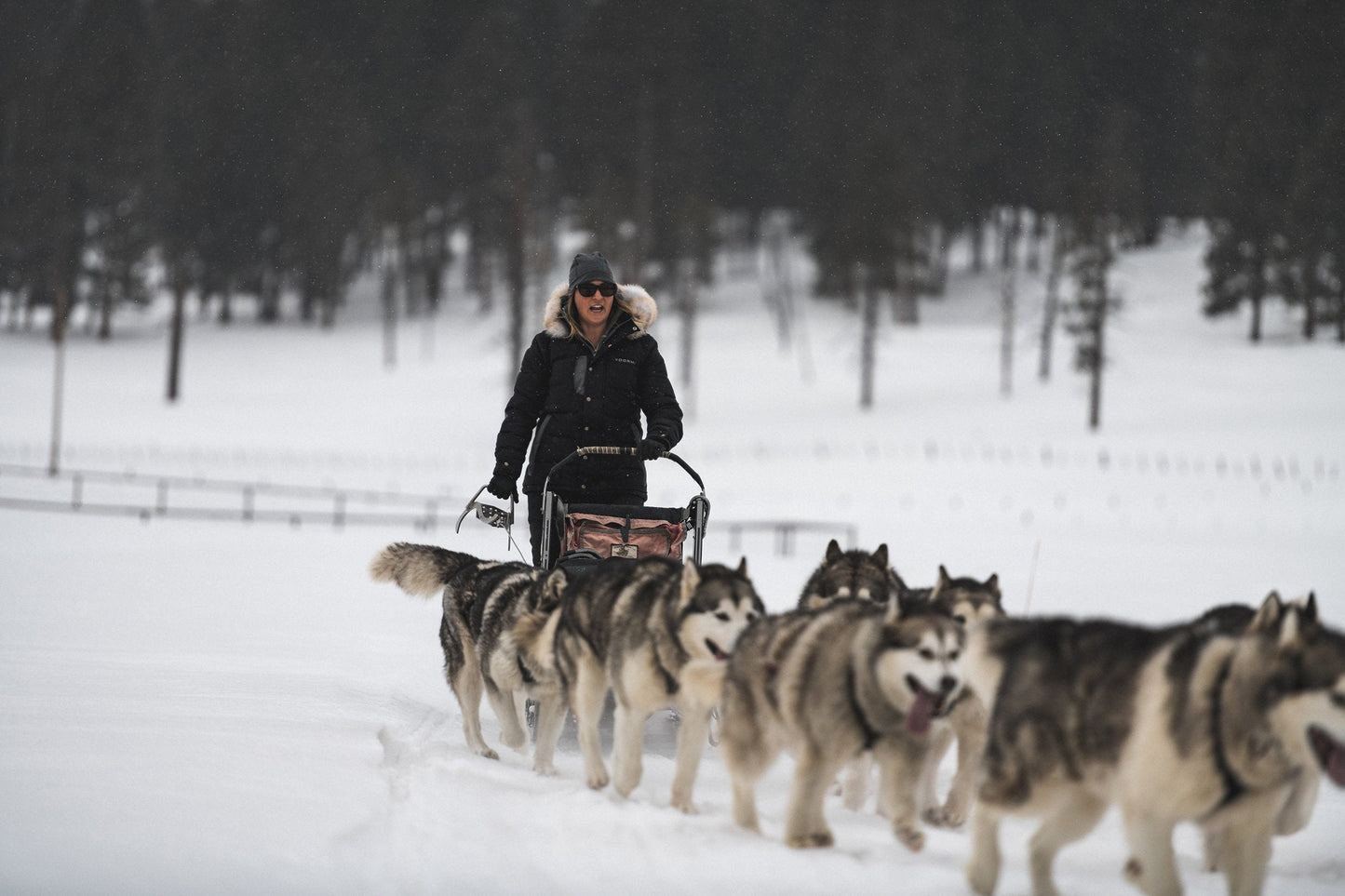 WOMEN'S WOLF CREEK PARKA (FUR TRIM)