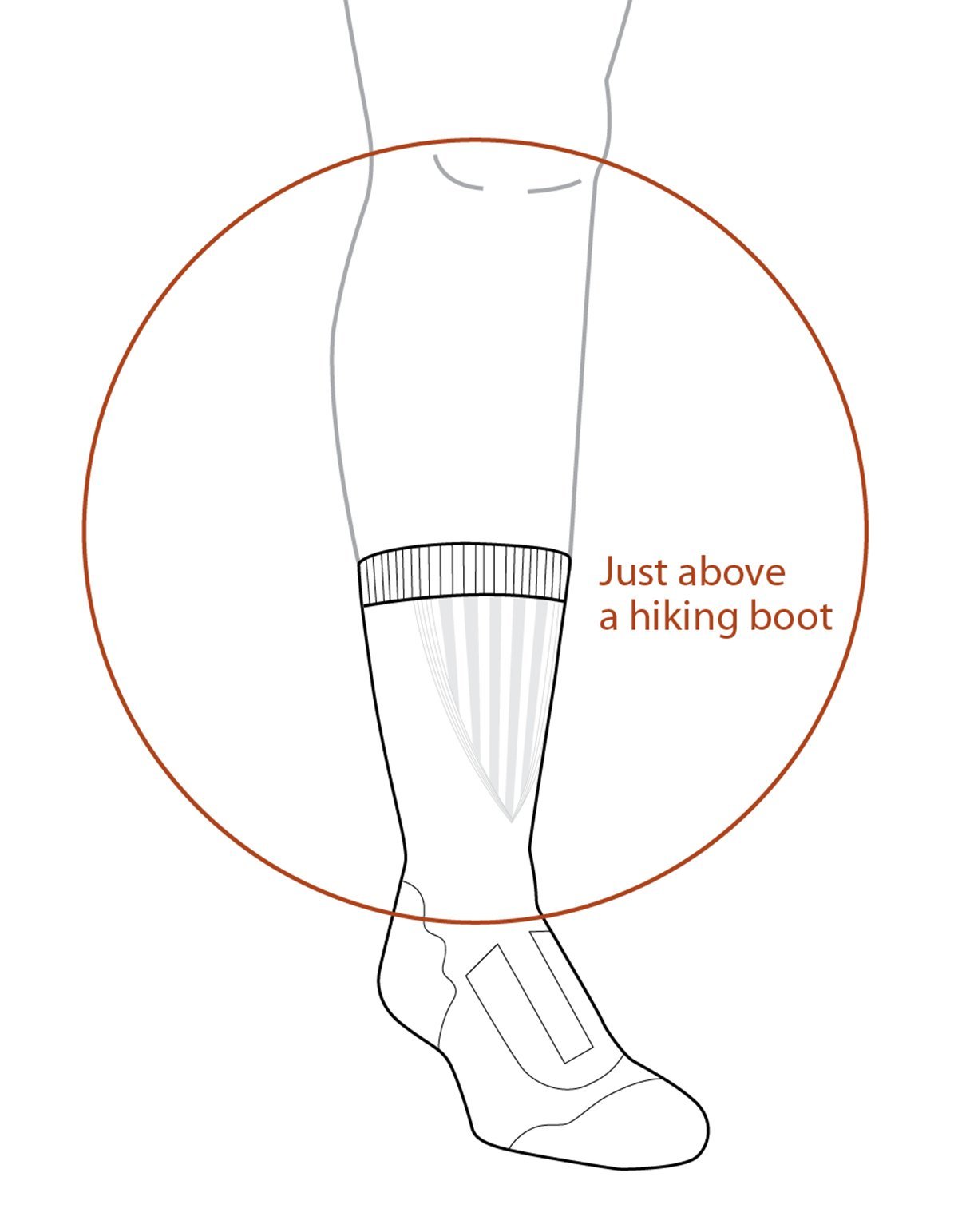 Accessories - LIGHT HIKE SOCK